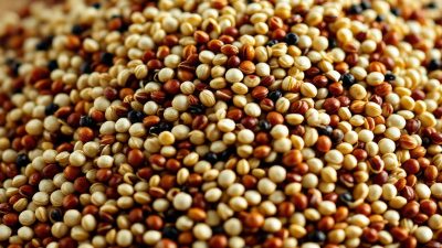 Quinoa